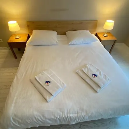 Fancy 1 Bedroom Flat In The Center شقة
